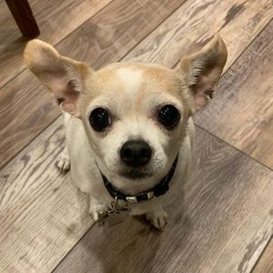 Meet your Posher, Denise